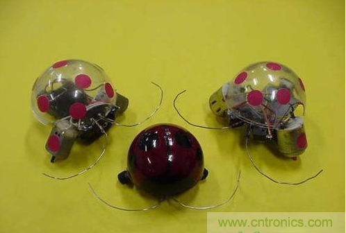 手把手教你自制甲殼蟲(chóng)機(jī)器人