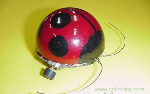 手把手教你自制甲殼蟲(chóng)機(jī)器人