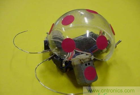 手把手教你自制甲殼蟲(chóng)機(jī)器人