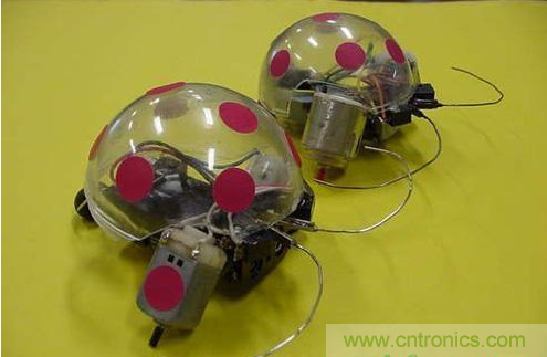 手把手教你自制甲殼蟲(chóng)機(jī)器人