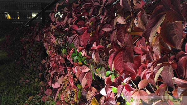 業(yè)界良心 LG V10 評(píng)測(cè):剛毅、冷峻，不失人性化