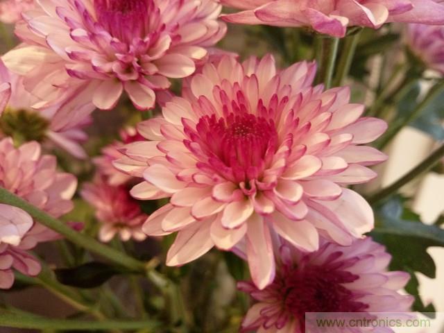 Hi-Fi革命！vivo X6 Plus深度評測：夠快才暢快