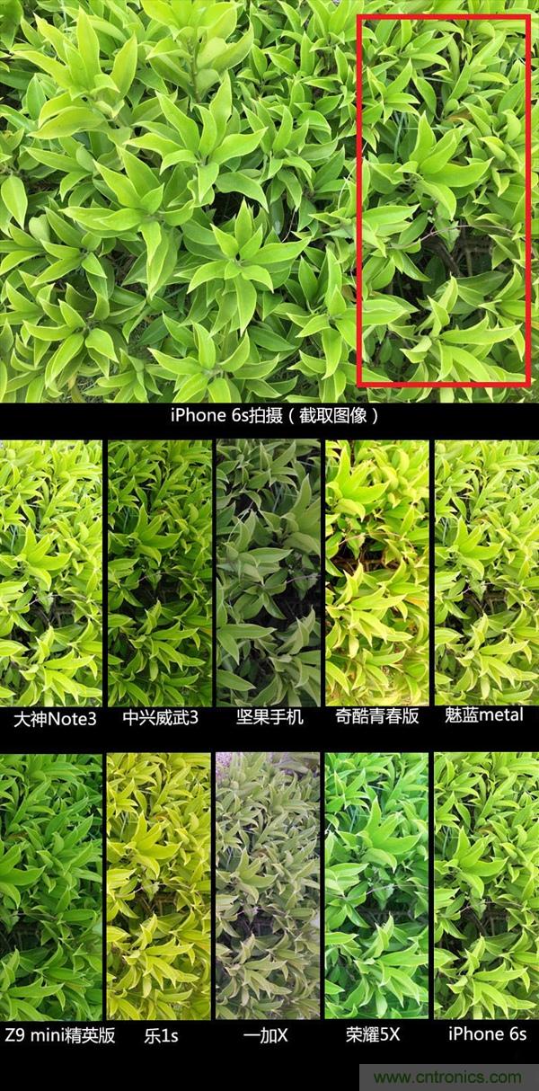 2015年9款千元智能手機(jī)橫評(píng)：誰(shuí)才是紅海霸主？