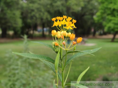 無數(shù)的拍攝，只為成就一個(gè)完美回憶