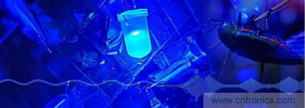 檢測不到信號，是加點(diǎn)噪聲？還是濾除噪聲？