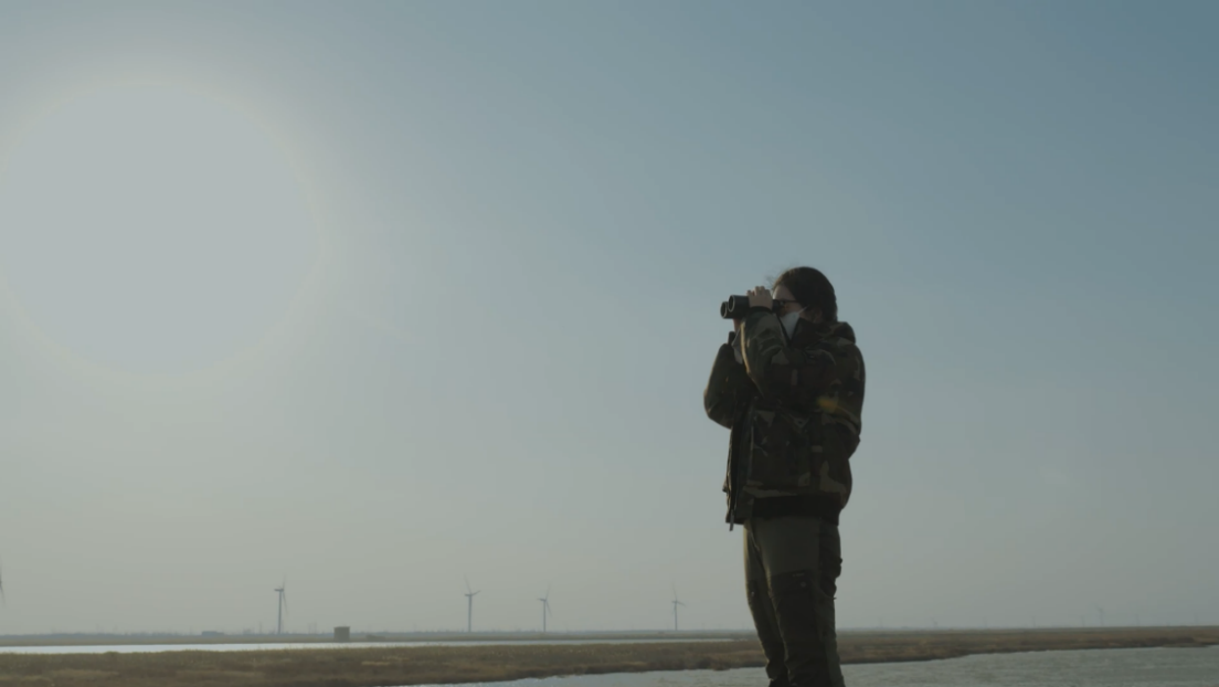 世界濕地日：?？低晹y手一個地球自然基金會，在上海守護這個重要“驛站”
