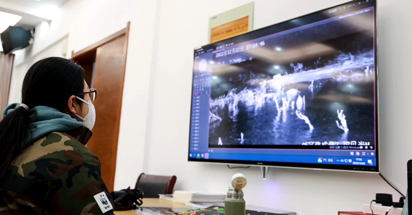 世界濕地日：?？低晹y手一個地球自然基金會，在上海守護這個重要“驛站”