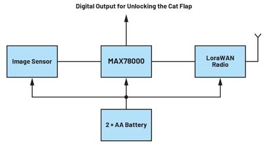 卷積神經(jīng)網(wǎng)絡(luò)的硬件轉(zhuǎn)換：什么是機器學(xué)習(xí)？——第三部分
