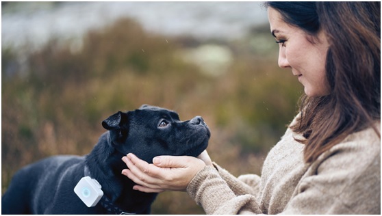 低功耗藍(lán)牙和蜂窩物聯(lián)網(wǎng)可穿戴設(shè)備幫助照看寵物