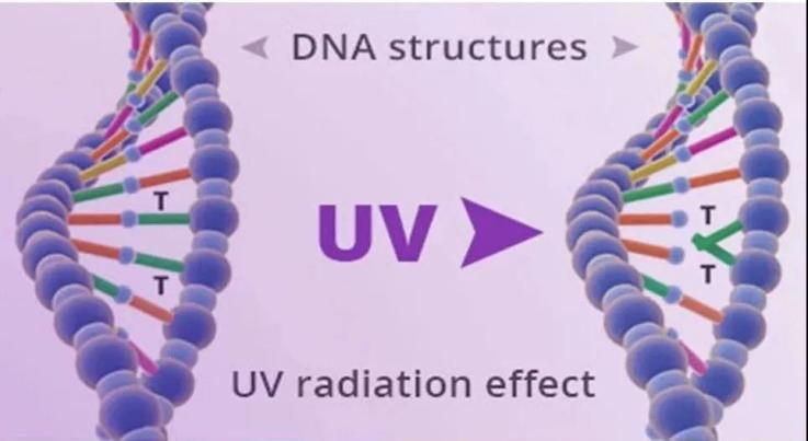 一文掌握UV LED在空凈消殺領(lǐng)域的主要應用 一文掌握UV LED在空凈消殺領(lǐng)域的主要應用