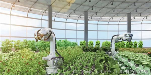 智慧農(nóng)業(yè)大有可為，“數(shù)字種地”更輕松